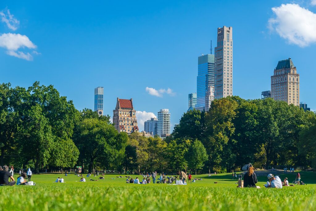 New York Park